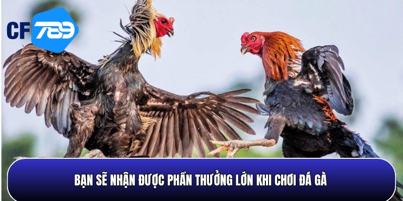 Đặt cược chính xác bạn sẽ nhận được phần thưởng cực lớn